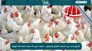 تراجع جديد في أسعار الفراخ والبيض.. تعرف على الأسعار المحدثة اليوم!